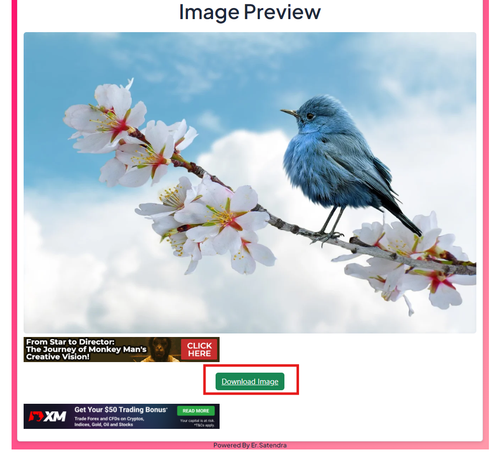 Image Downloader